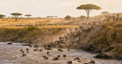 Nature category thumbnail